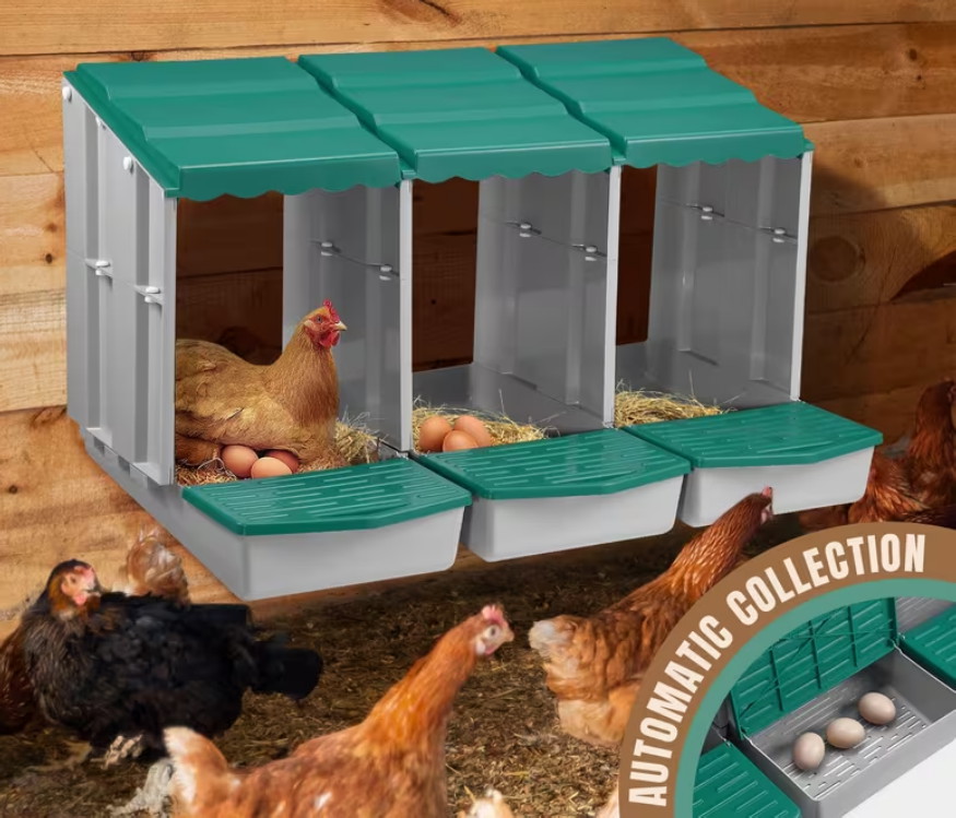 The Chook Shop | 12 Murray St, Casterton VIC 3311, Australia | Phone: 0401 203 447