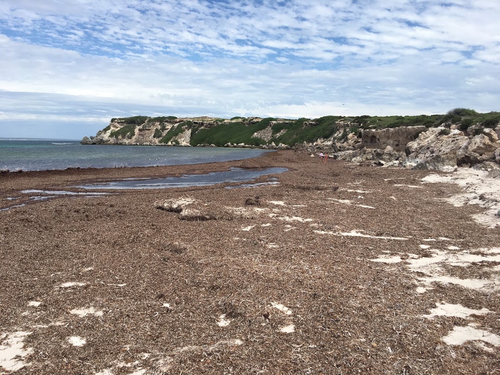 Wedge Island Nature Reserve | Western Australia, Australia