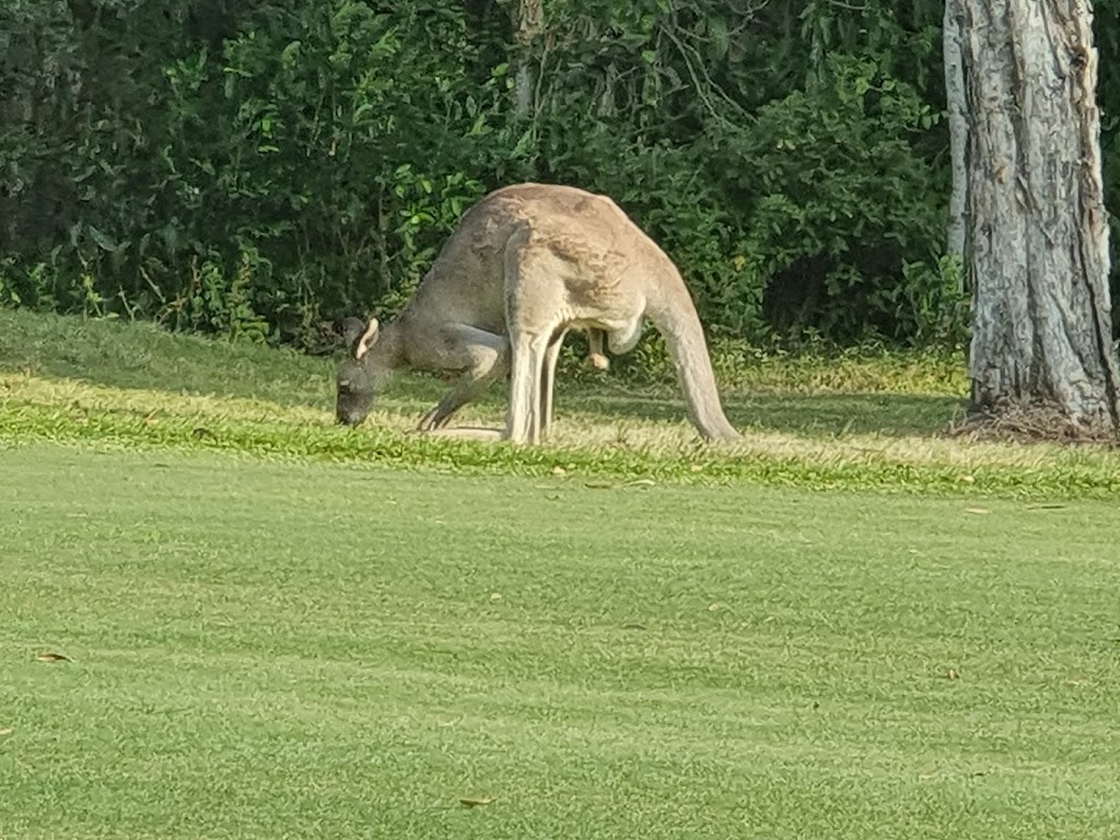 Pelican Waters Golf Club | 40 Mahogany Dr, Pelican Waters QLD 4551, Australia | Phone: (07) 5437 5000