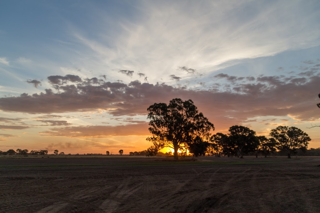 Coonara Farmstay | 708 Racecourse Rd, Tocumwal NSW 2714, Australia | Phone: 0487 573 592