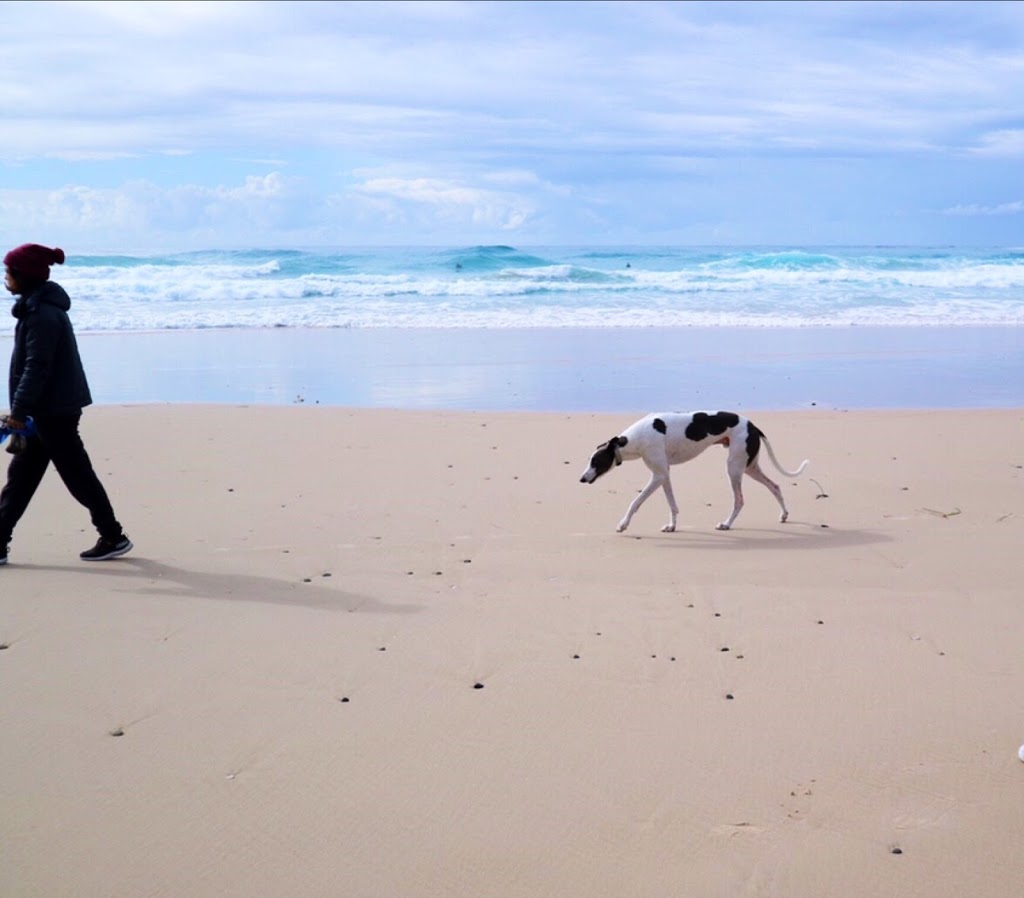 7 Mile Dog Exercise Beach | school | Lennox Head NSW 2478, Australia