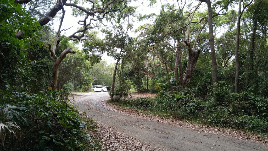 Smoky Cape Campground | Lighthouse Rd, Arakoon NSW 2431, Australia | Phone: (02) 6566 6168