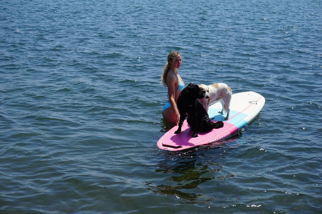 Lake Mac Adventures | 59 Beach Rd, Balcolyn NSW 2264, Australia | Phone: 0421 227 235
