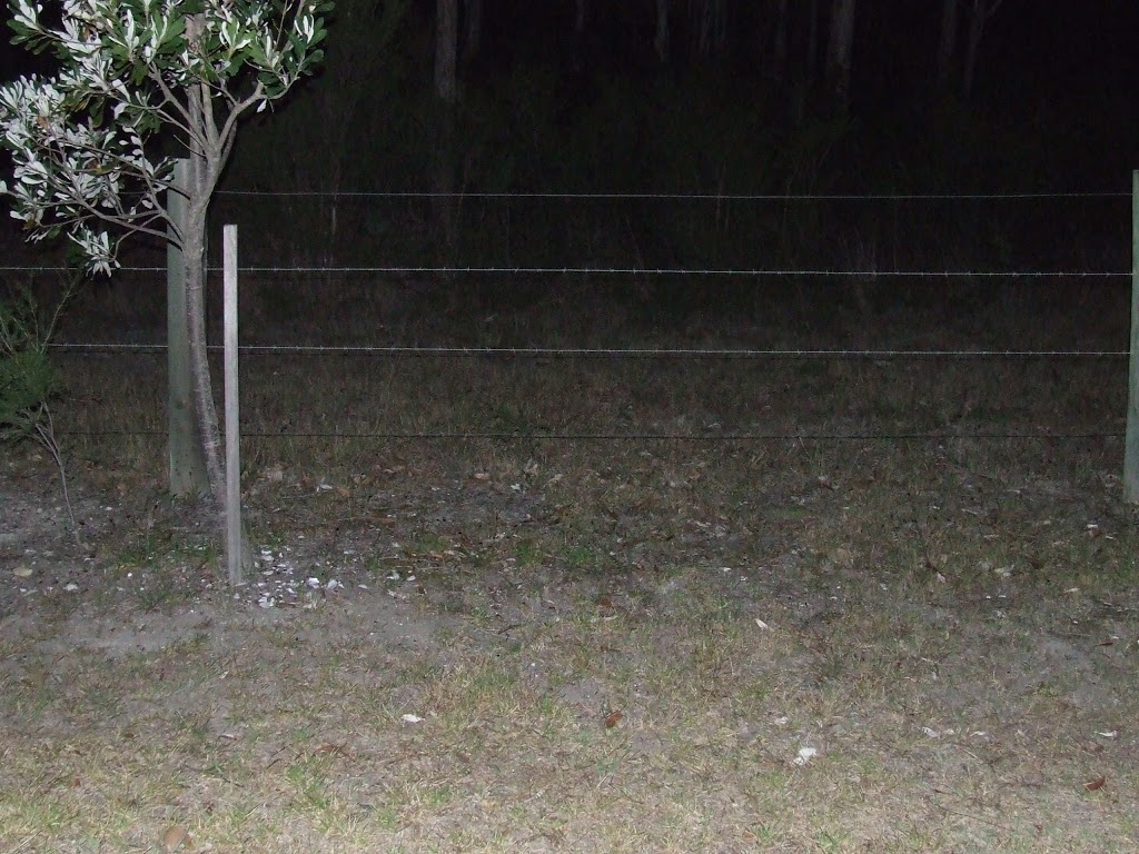 East Maitland Cemetery | cemetery | 201 Raymond Terrace Rd, East Maitland NSW 2323, Australia