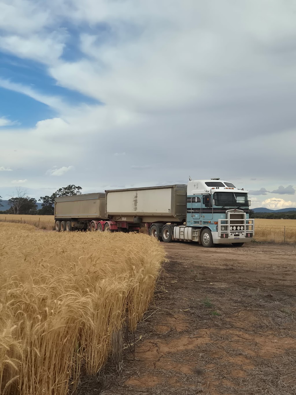 Saxa Field Services | Saxa Rd, Maryvale NSW 2820, Australia | Phone: 0457 098 182