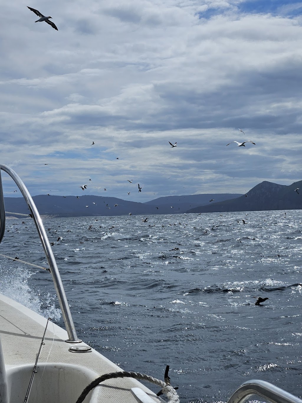 Tasmania Double Hook Fishing Charters | Jetty Rd, Port Arthur TAS 7182, Australia | Phone: 0457 138 166