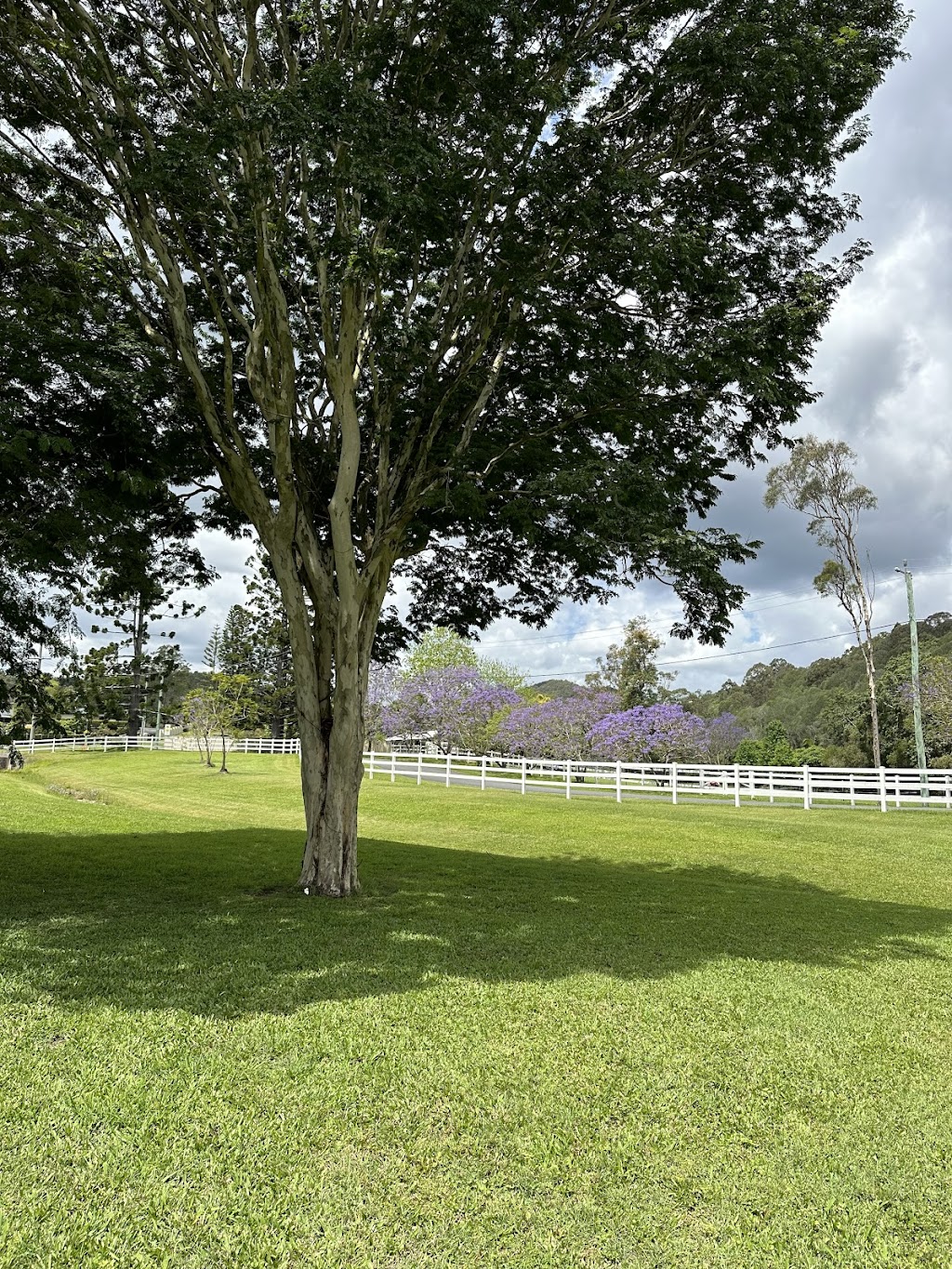 Serenity At Mount Nathan | 252 Clagiraba Rd, Mount Nathan QLD 4211, Australia | Phone: 0407 151 146