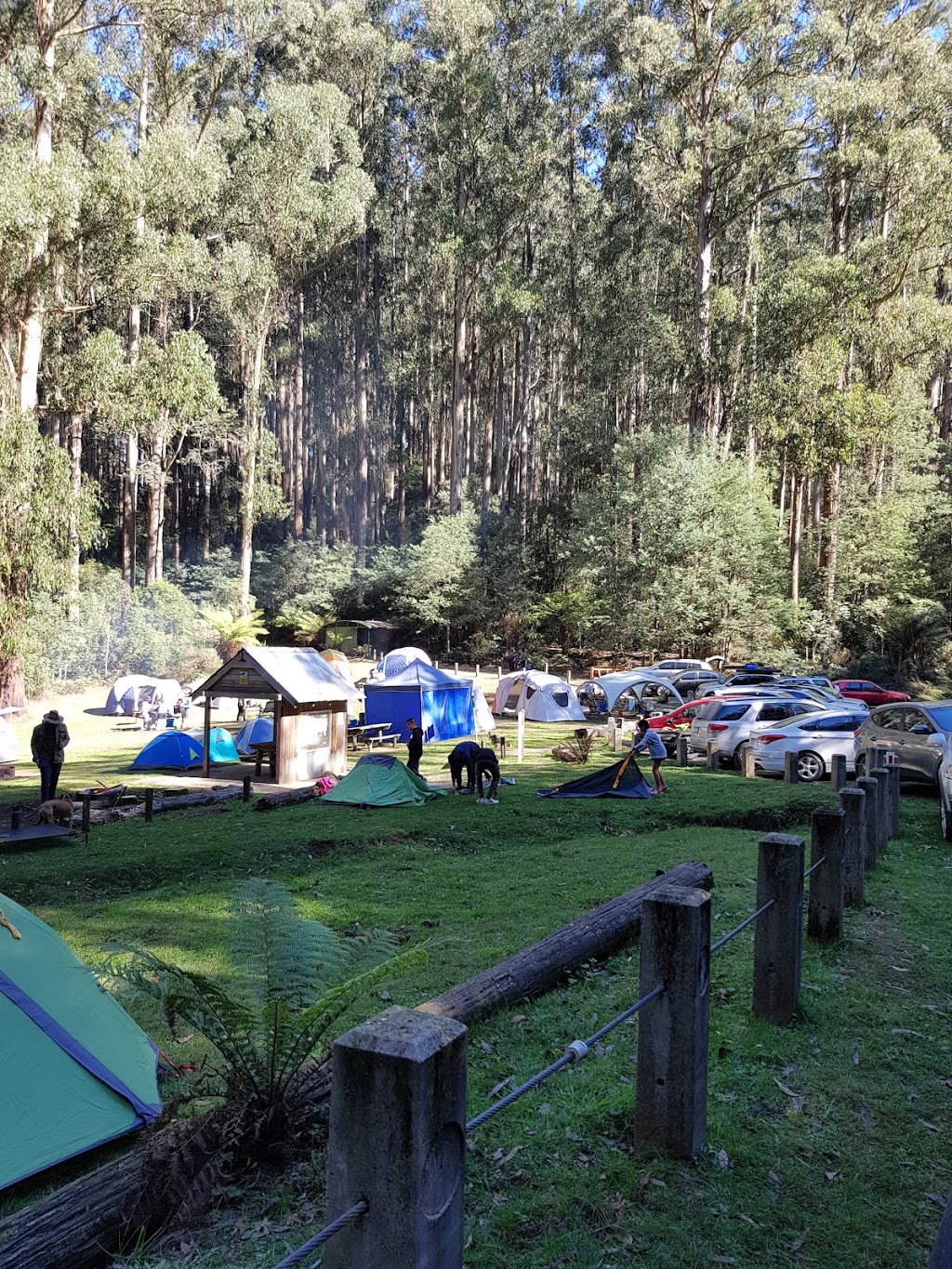 Starlings Gap campground | Big Creek Rd, Ada VIC 3833, Australia