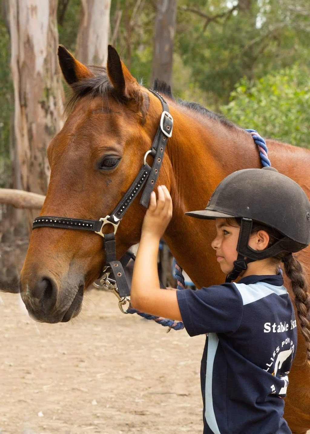 Millies Pony Paradise Riding School | 17 Eastwood Ct, Jimboomba QLD 4280, Australia | Phone: 0412 177 757