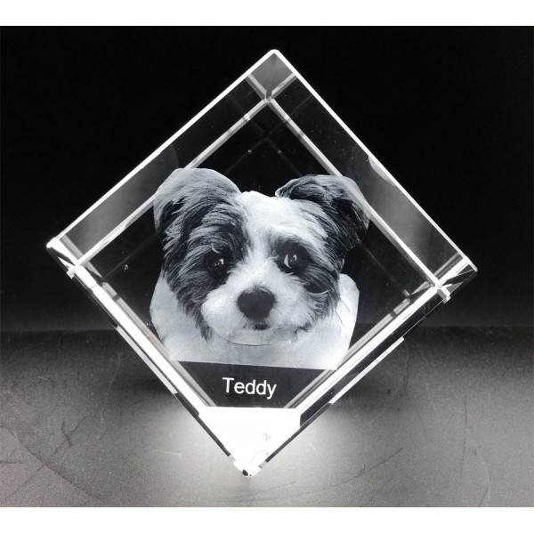 Vision3D - Crystal Photo & Engraving Specialists | 23 Fortune St, Scarborough QLD 4020, Australia | Phone: 1300 847 333