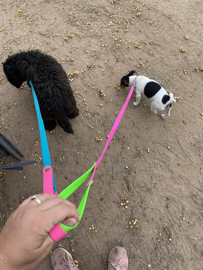 TRC pet accessories | 39 Bourbah St, Gulargambone NSW 2828, Australia | Phone: 0429 695 699
