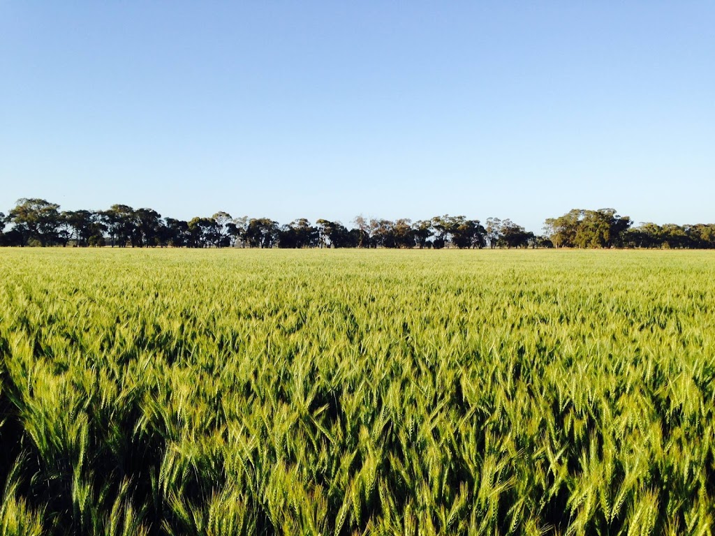 Ruralco Property | 18 S Gippsland Hwy, Sale VIC 3850, Australia | Phone: (03) 5144 2988