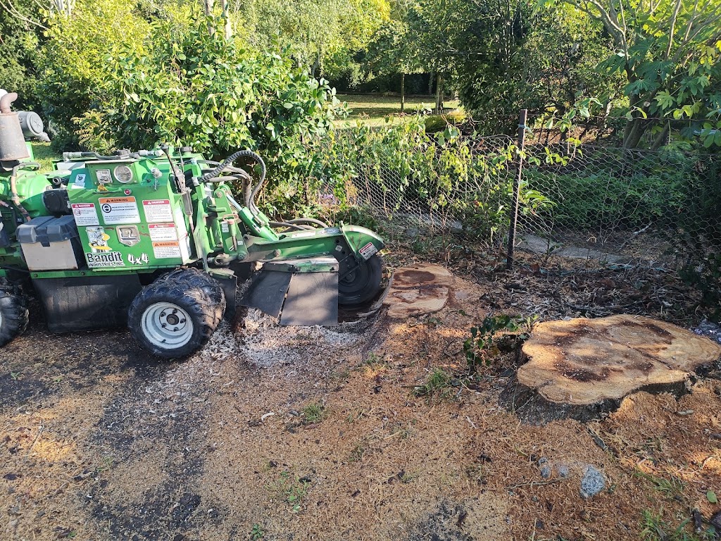 The Stump Grinder Man | Beaconsfield-Emerald Rd, Emerald VIC 3782, Australia | Phone: 0409 331 122