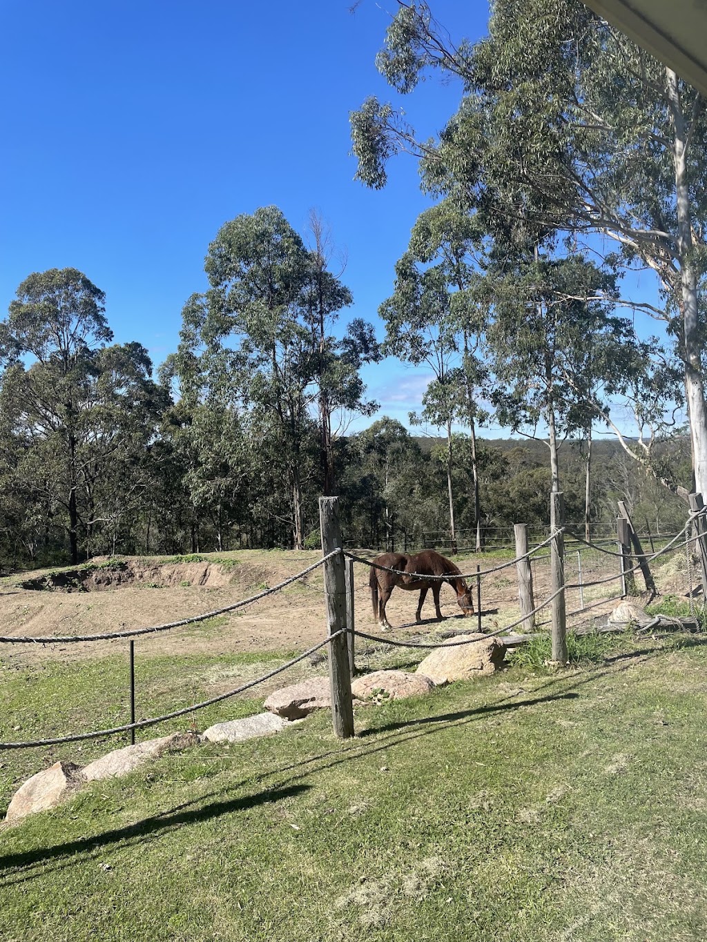 Tranquil-A-Tree | 49 Woodlea Ct, Crows Nest QLD 4355, Australia | Phone: 0410 446 076