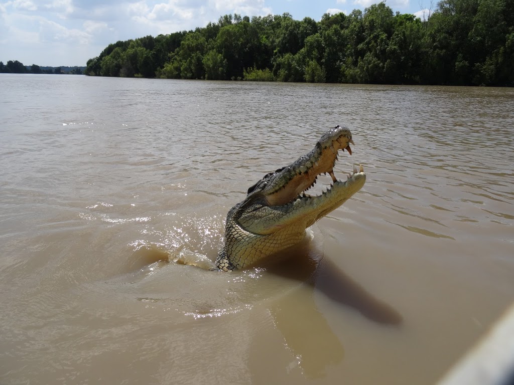 Harrison Dam Conservation Area | Middle Point NT 0822, Australia