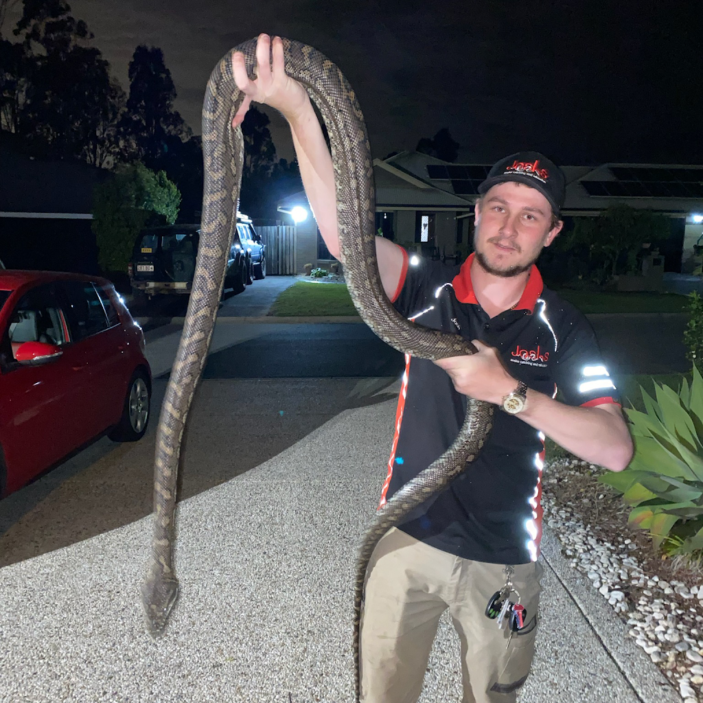 Snake Catcher-Brisbane | 1/23 swallow street, Griffin QLD 4503, Australia | Phone: 0474 826 129