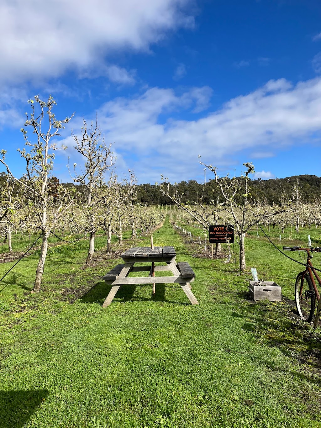 The Pickers Pantry Orchard Cafe | 45 Parsons Bay Rd, White Beach TAS 7184, Australia | Phone: 0431 892 527