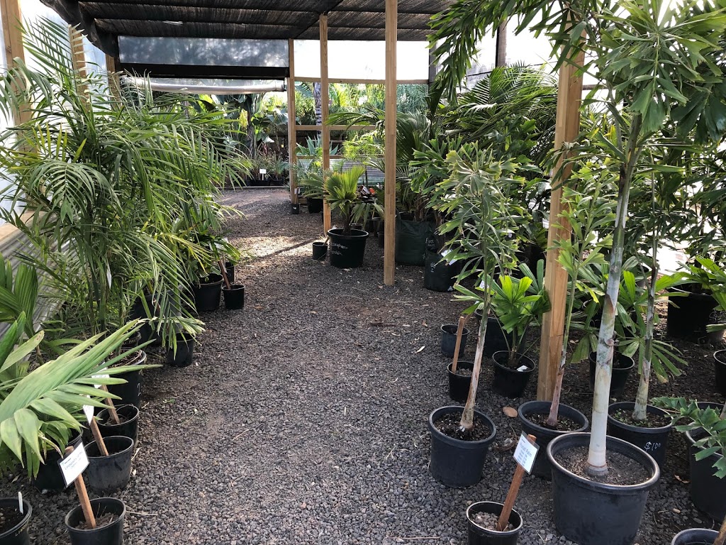 True Green Nursery | 137 Highett Rd, Melton VIC 3337, Australia | Phone: (03) 9743 5932