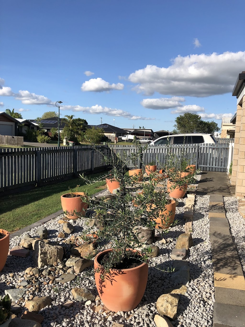 Backyard Farms Mackay | 11 Katey Cres, Mirani QLD 4754, Australia | Phone: 0418 171 000