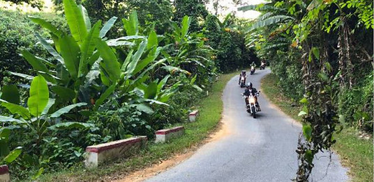 Ride Top Gear PTY LTD | 15 Centre Rd, Raymond Island VIC 3880, Australia | Phone: 0468 421 353