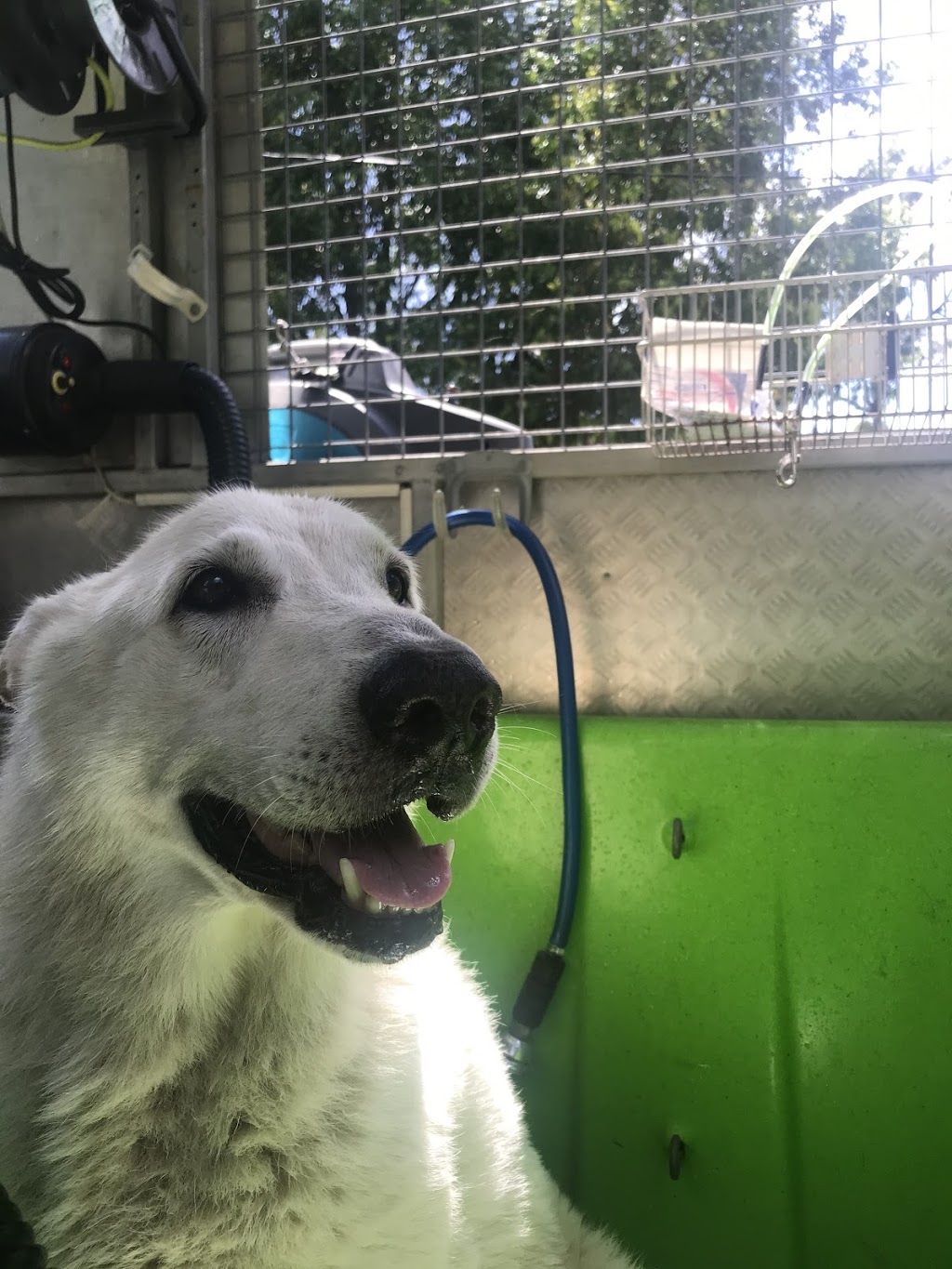 Happy pets Dog Wash And Grooming |  | Mackie Rd, Narangba QLD 4504, Australia | 0404448079 OR +61 404 448 079