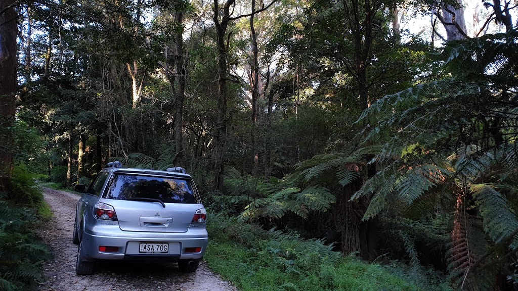 Cathedral of Ferns | park | Mount Irvine Rd, Mount Wilson NSW 2786, Australia