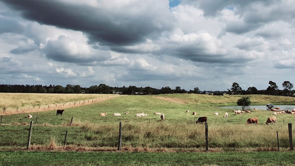 Priors Paddocks Horse Agistment | Priors Pocket Rd, Moggill QLD 4070, Australia | Phone: 0423 512 218