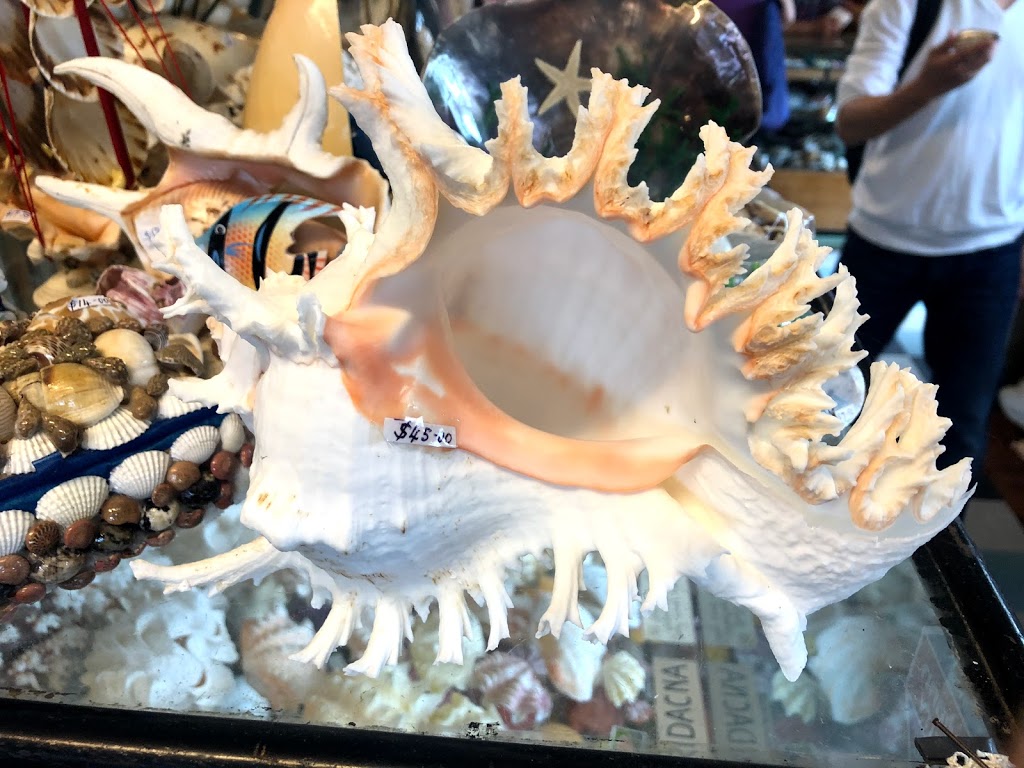 Port Stephens Shell Museum | museum | 92 Sandy Point Rd, Corlette NSW 2315, Australia | 0249811428 OR +61 2 4981 1428