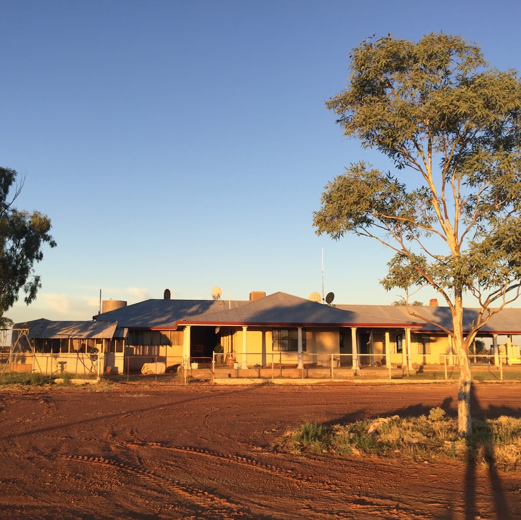 Station Stay at Mellenbye | Mellenbye Station, Morawa-Yalgoo Rd, Yalgoo WA 6635, Australia | Phone: (08) 9972 3072