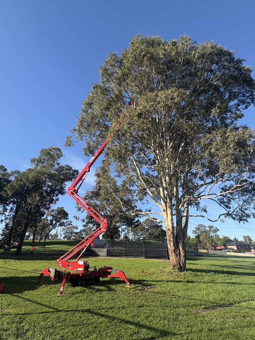 Above All Tree Services | 67 Achilles Rd, Engadine NSW 2233, Australia | Phone: 0412 708 072