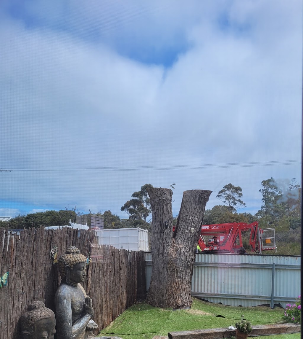 Pink Lake Tree Works | 804 Eleven Mile Beach Rd, Pink Lake WA 6450, Australia | Phone: 0400 660 141