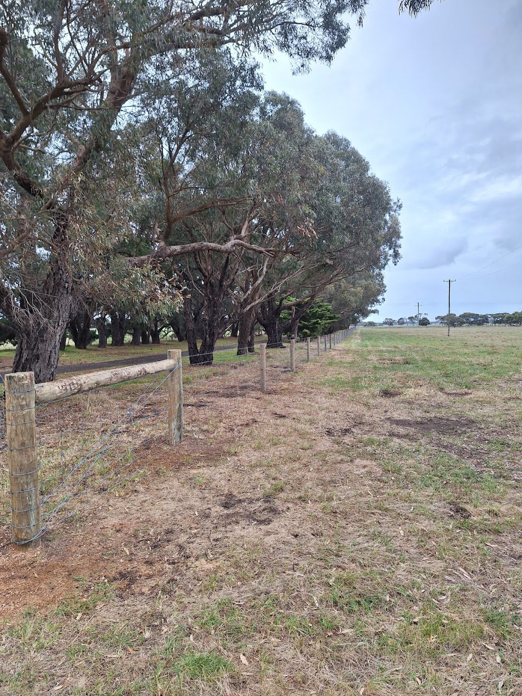 B.E Rural Fencing Winchelsea | 33 Batson St, Winchelsea VIC 3241, Australia | Phone: 0417 381 310