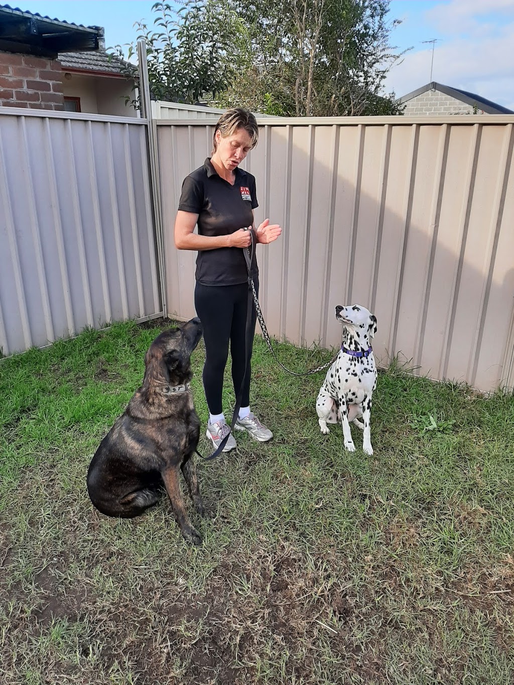 The Dog Exorcist Dog Behaviourist |  | Juno Parade, Greenacre NSW 2190, Australia | 0432750250 OR +61 432 750 250