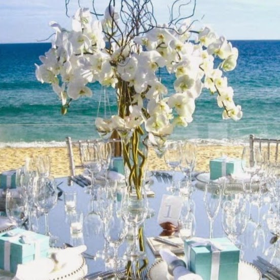 Bella Wedding and Event Hire - Eden, Bermagui, Pambula, Merimbul | florist | 53 Ocean View Dr, Bermagui NSW 2546, Australia | 0415309456 OR +61 415 309 456