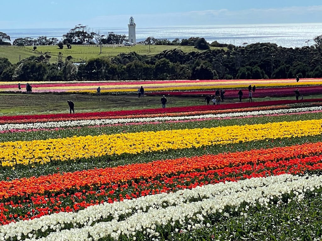 Table Cape Lighthouse Tours | Lighthouse Rd, Table Cape TAS 7325, Australia | Phone: 0478 812 522