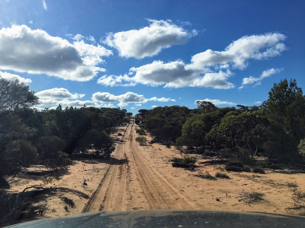 Gawler Ranges National Park | park | Barns Rd, Gawler Ranges SA 5655, Australia | 0886883111 OR +61 8 8688 3111