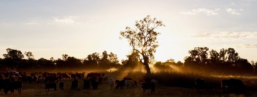 Robert Chappel Photographics | 7 Banjos Cct, Tamworth NSW 2340, Australia | Phone: 0407 003 556