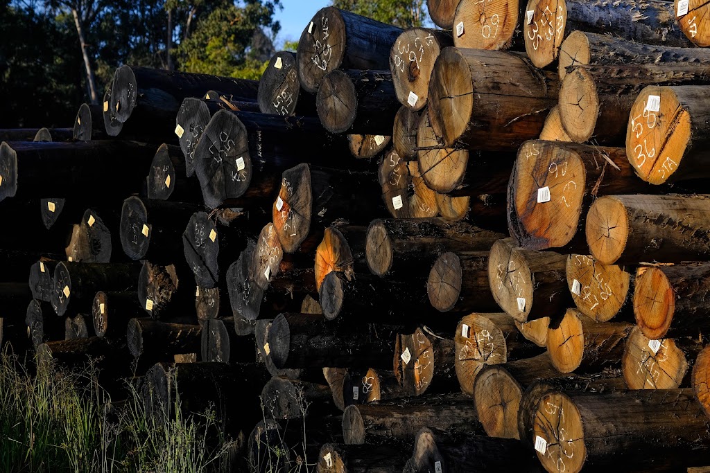 South Coast Timber | 3 Storey Ave, Eden NSW 2551, Australia | Phone: (02) 6496 2697
