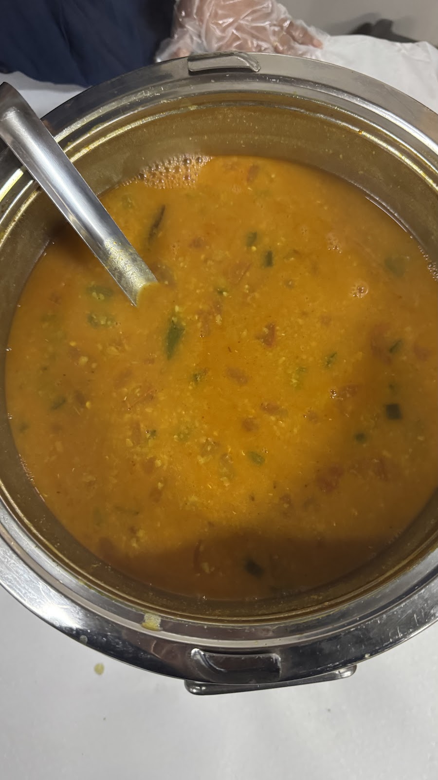 Satvik Food & Catering Sydney | 222 Hamilton St, Riverstone NSW 2765, Australia | Phone: 0422 886 002