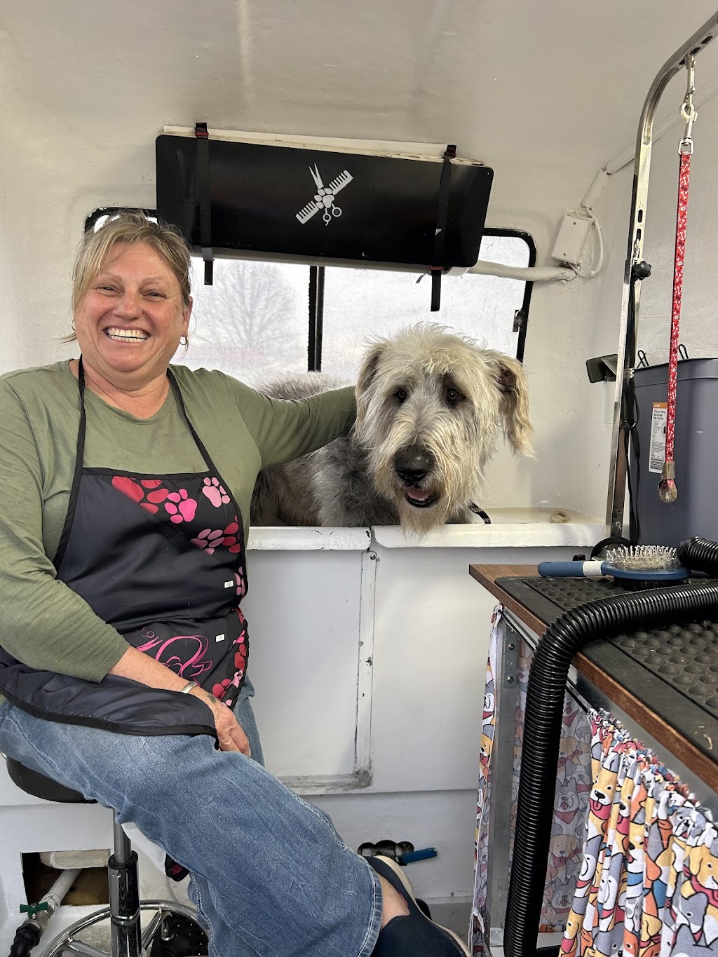 Springshure grooming services | 2721 Wards Mistake Rd, Wards Mistake NSW 2350, Australia | Phone: 0448 970 180