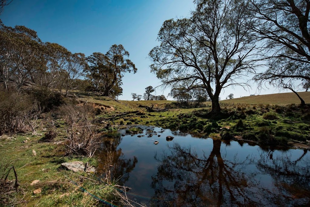 Kallarroo Campsite | GC59+QV, Greenlands NSW 2631, Australia | Phone: 0414 864 347