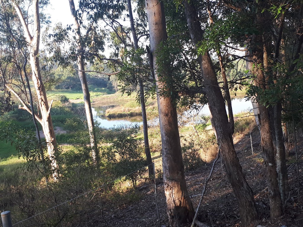 Bellbird Grove Walking Tracks | 113 Mount Nebo Rd, Enoggera Reservoir QLD 4520, Australia | Phone: (07) 3403 8888