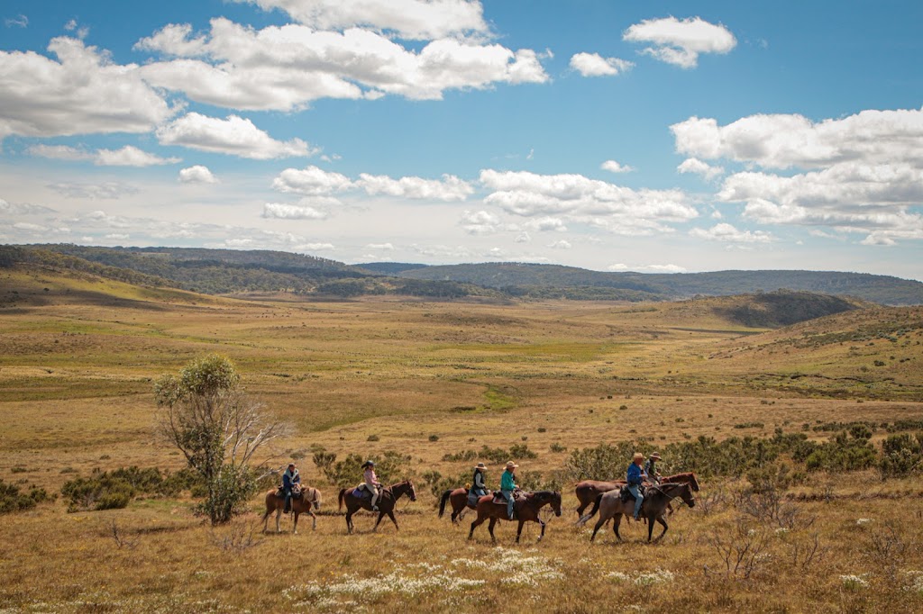 Australian Saddle Safaris | travel agency | Snowy Mountains Hwy, Adaminaby NSW 2629, Australia | 0428130093 OR +61 428 130 093