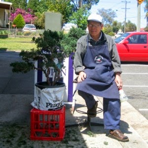 Bonsai Louie | general contractor | 3/81 Albert St, Guildford West NSW 2161, Australia | 0449954384 OR +61 449 954 384