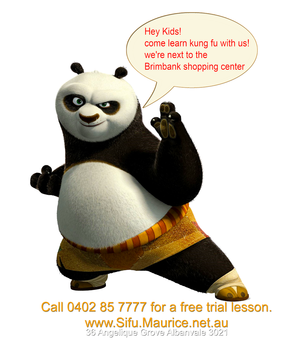 Melbourne Sport & Street Wing Chun Kung Fu | 36 Angelique Grove, Melbourne VIC 3021, Australia | Phone: 0402 857 777