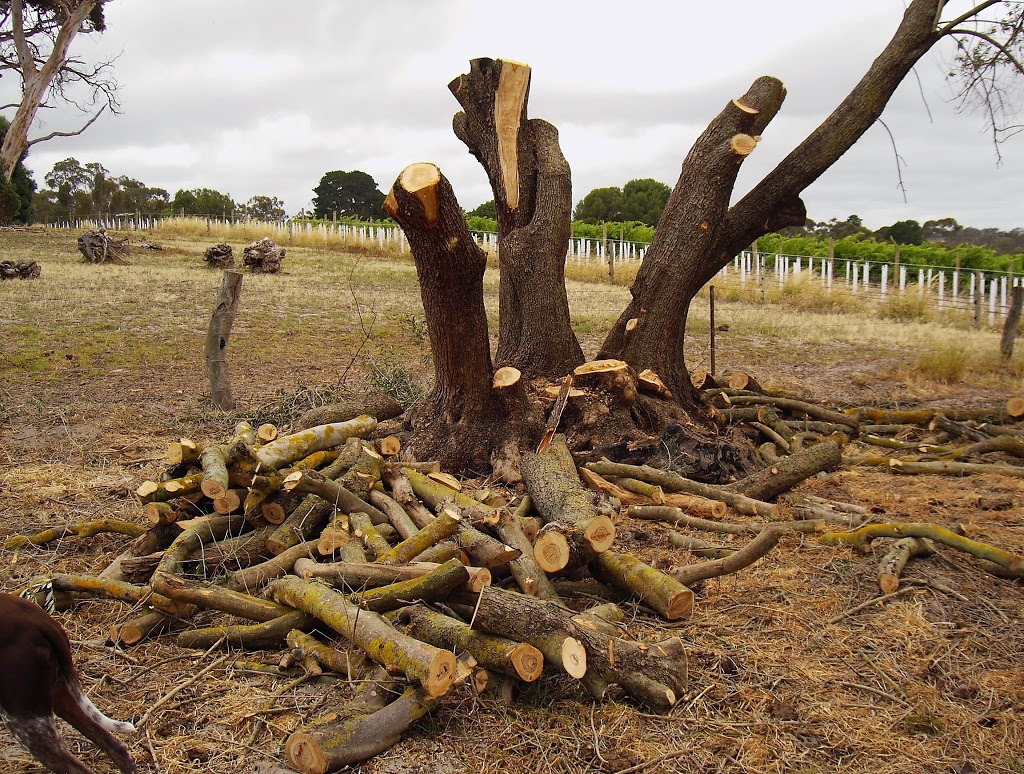 Georges Bits of Timber | store | 11 Slater Rd, Mount Compass SA 5210, Australia | 0885568225 OR +61 8 8556 8225