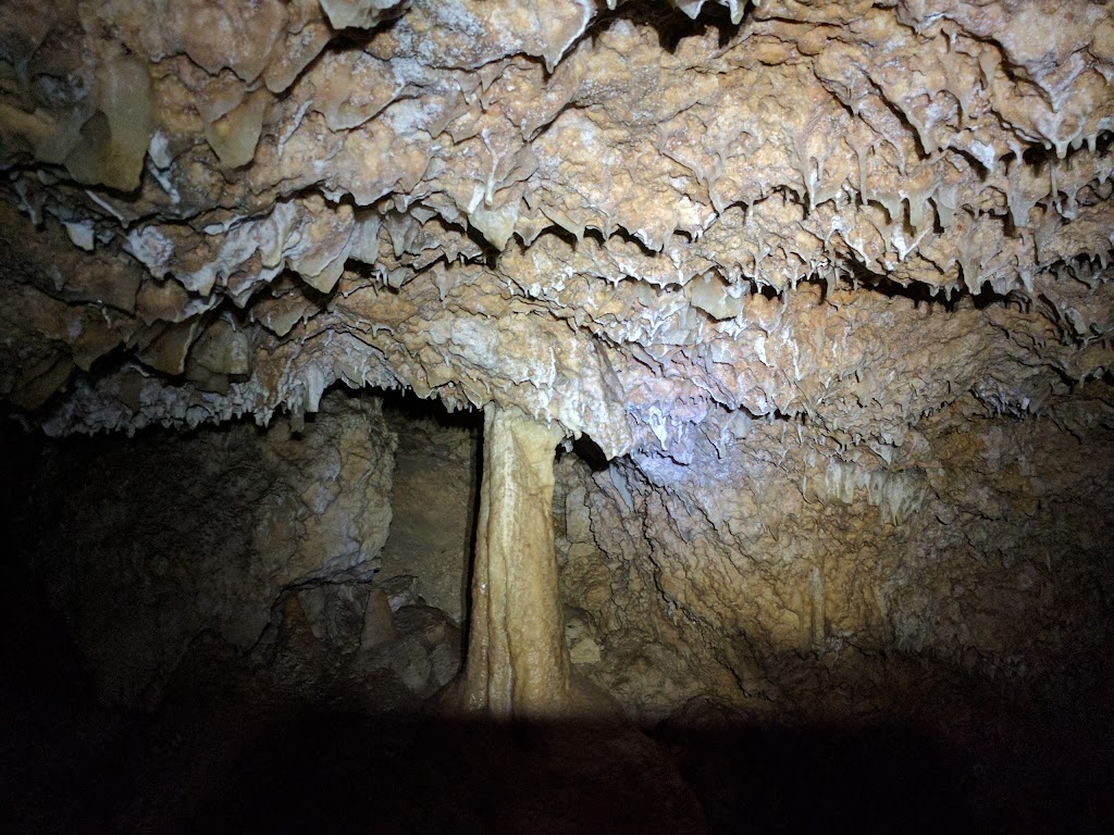 Giants Cave | tourist attraction | Caves Rd, Boranup WA 6286, Australia | 0897577422 OR +61 8 9757 7422