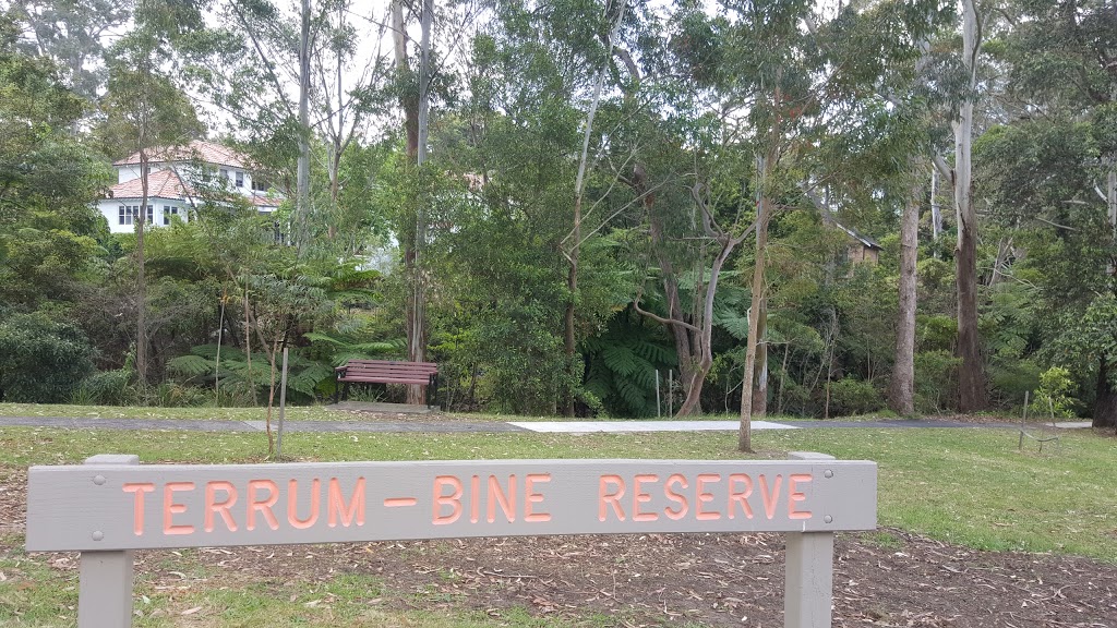 Terrum-Bine Reserve | park | 14A Arthur St, Killara NSW 2071, Australia | 0294240888 OR +61 2 9424 0888