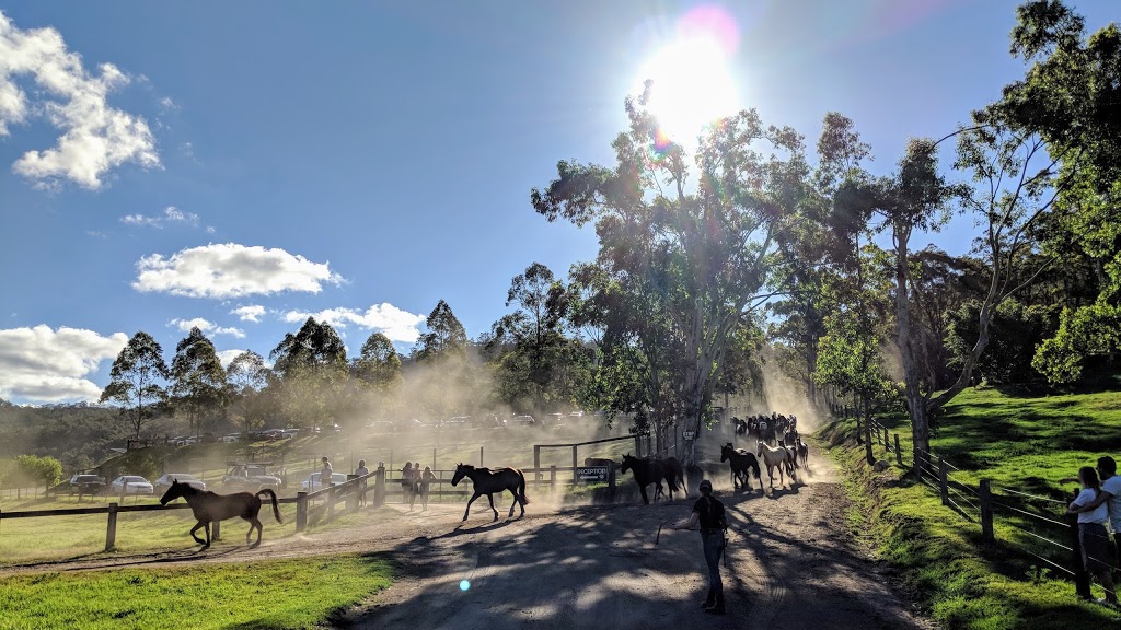 Glenworth Valley Horse Riding | campground | Cooks Rd, Glenworth Valley NSW 2250, Australia | 0243751222 OR +61 2 4375 1222