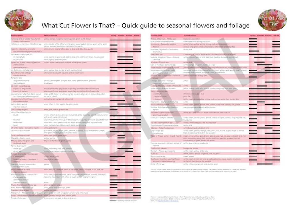 What Cut Flower is That? | 48 Nabiac St, Nabiac NSW 2312, Australia | Phone: 0414 678 840